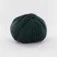 FONTY wool and alpaca knitting yarn, qual. POLAIRE, col. Blue Pine 642