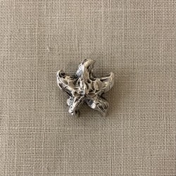 Bouton Métal Etoile de Mer, col. Argent