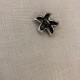 Bouton Métal Etoile de Mer, col. Argent