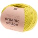 Rico Bio Knitting Cotton ,Essential Organic Cotton, col. Pistachio 015
