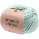 Coton Bio à Tricoter Rico ,Essential Organic Cotton, col. Menthe 011
