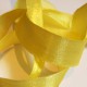 Iridescent taffeta ribbon, col. Mimosa 13