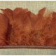 Strip of feathers Cabaret on satin ribbon, col. Squirrel 48