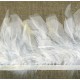 Strip of feathers Cabaret on satin ribbon col. White 01