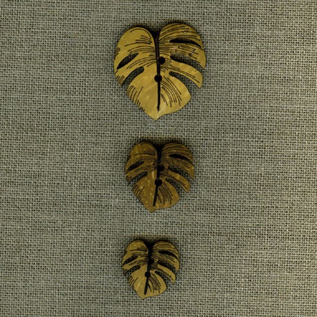 Coconut button, Leaf. Made in France
