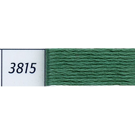 DMC mouliné embroidery thread, col. 3815