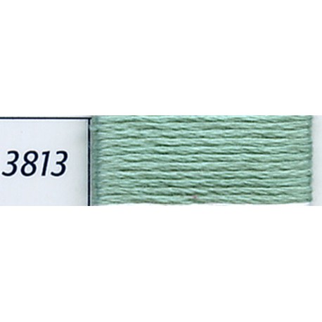 DMC mouliné embroidery thread, col. 3813