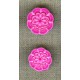 fuchsia rosette children's button