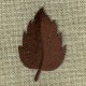 Leaf motif col. Mocha