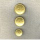 Heraldry motif Metal Button, col. Light gold