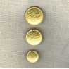 Heraldry motif Metal Button, col. Light gold
