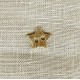 Enamelled Shining Star mother of pearl button, col. Gold