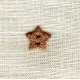Enamelled Shining Star mother of pearl button, col. Copper