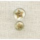 Bouton Nacre Gravée Super Star, col. Glitter Or