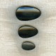 Black Horn Button Leave