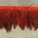 Strip of feathers Speckled on satin ribbon, col. Red 08