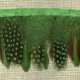 Strip of feathers Speckled on satin ribbon, col. Emerald 67