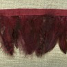 Strip of feathers Speckled on satin ribbon, col. Bordeaux 72