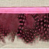 Strip of feathers Speckled on satin Ribbon, col. Candy 74