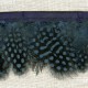 Strip of feathers Speckled on satin Ribbon, col. Northern Sea 23