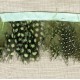 Strip of feathers Speckled on satin Ribbon, col. Aqua 16