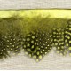 Strip of feathers Speckled on satin Ribbon, col. Anisette 81