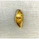 Metal Button Conch Shell, col. Or