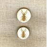 Engraved Mother of pearl button Ant, col. Glitter Or/ Natural
