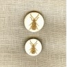 Engraved Mother of pearl button Ant, col. Glitter Or/ Natural