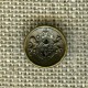 Small 2 holes curved metal button coat of arms, Old gold