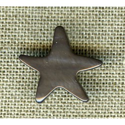 Patrick the starfish enamelled mother-of-pearl, col. Tin
