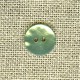 Enamelled mother-of-pearl confetti button, col. Green water 37