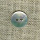 Enamelled mother-of-pearl confetti button, col. Iceberg 340